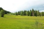 2014-07-05_Laengental-N-Hochweg (254). JPG